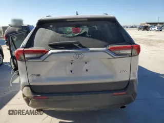 2019 Toyota RAV4 XLE with VIN JTMW1RFV5KD003972, listed as a Copart auction lot 49154825 with 0 mi miles and Salvage Title. Bid and sale history available at carsss.com. Image 6.