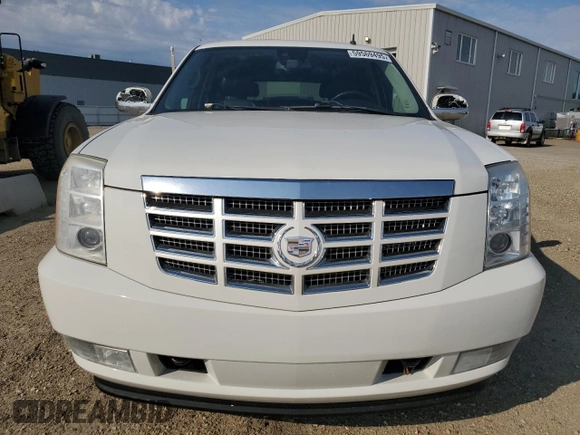 2009 Cadillac Escalade z VIN 1GYFK43559R235239, wystawiony jako Copart lot #59569495 z przebiegiem 142 969 mil mil oraz Czysty tytuł • Clean title. Historia ofert i sprzedaży dostępna na DreamBid. Obrazek 5.