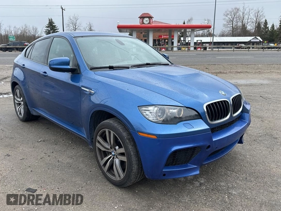 2013 BMW X6 M with VIN 5YMGZ0C57DLL29849, listed as a Copart auction lot 53517205 with 117,400 mi miles and Clean Title. Bid and sale history available at carsss.com. Image 1.
