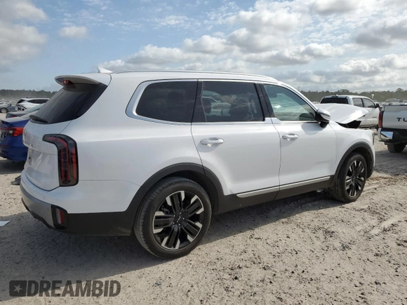 2024 Kia Telluride SX with VIN 5XYP54GC7RG427657, listed as a Copart auction lot 53308975 with Not provided miles and Salvage title. Bid and sale history available at DreamBid. Image 3.