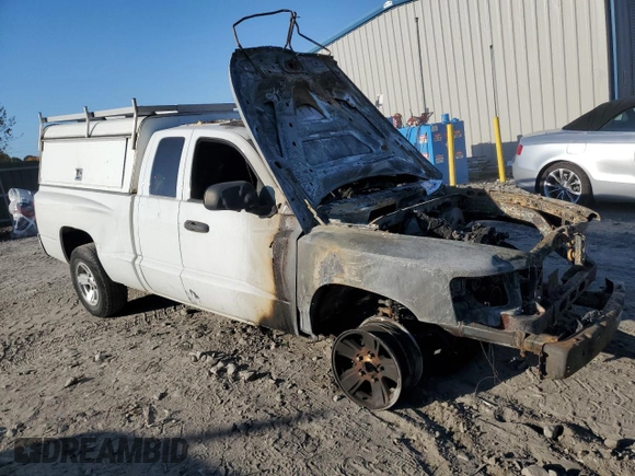 2008 Dodge Dakota SLT with VIN 1D7HW42KX8S520381, listed as a Copart auction lot 76985824 with Not Provided miles and Salvage Title. Bid and sale history available at carsss.com. Image 4.