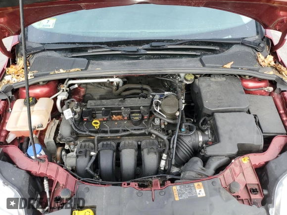 2014 Ford Focus SE with VIN 1FADP3F28EL366453, listed as a Copart auction lot 45737215 with 69,043 mi miles and Clean Title. Bid and sale history available at DreamBid. Image 11.