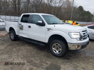 2012 Ford F-150 XL z VIN 1FTFW1CF2CFA89117, wystawiony jako IAAI lot #41582360 z przebiegiem 166 461 mil mil oraz . Historia ofert i sprzedaży dostępna na DreamBid. Obrazek 1.