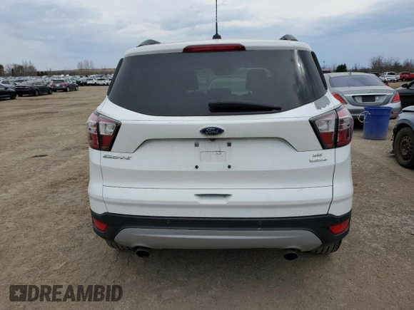 2017 Ford Escape SE with VIN 1FMCU0GD6HUA34874, listed as a Copart auction lot 53534365 with 138,824 mi miles and Salvage Title. Bid and sale history available at carsss.com. Image 6.