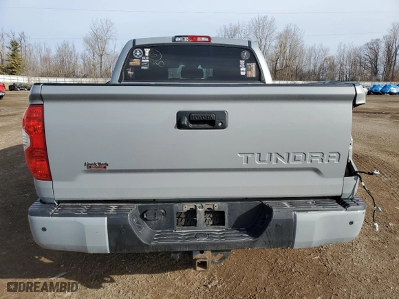 2018 Toyota Tundra 4WD SR5 with VIN 5TFDW5F14JX729463, listed as a Copart auction lot 49533295 with 136,657 mi miles and Salvage Title. Bid and sale history available at carsss.com. Image 6.