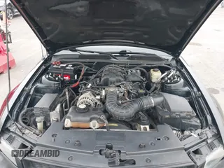 2008 Ford Mustang Deluxe with VIN 1ZVHT80N785208683, listed as a IAAI auction lot 42120817 with 144,300 mi miles. Bid and sale history available at carsss.com. Image 10.