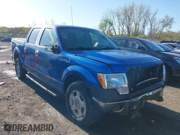 2009 Ford F-150 XL with VIN 1FTPW14V59KC52255, listed as a IAAI auction lot 42123114 with 190,641 mi miles and . Bid and sale history available at DreamBid. Image 1.
