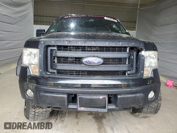 2014 Ford F-150 XL with VIN 1FTEX1EM2EFB44866, listed as a Copart auction lot 57209585 with Not provided miles and Clean title. Bid and sale history available at DreamBid. Image 5.