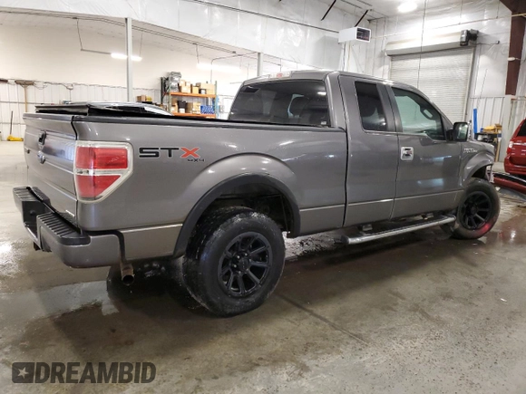 2013 Ford F-150 XL with VIN 1FTEX1EM6DFD11213, listed as a Copart auction lot 61350245 with 197,696 mi miles and Salvage title. Bid and sale history available at DreamBid. Image 3.