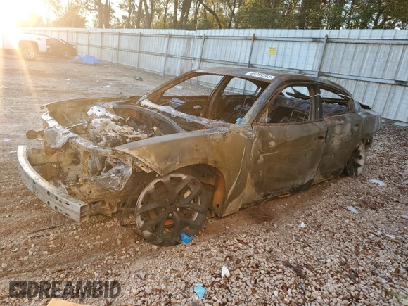 2019 Dodge Charger SXT with VIN 2C3CDXBG9KH745286, listed as a Copart auction lot 48289265 with Not Provided miles and Non Repairable. Bid and sale history available at carsss.com. Image 1.