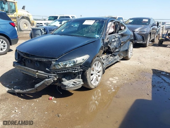 2010 Honda Accord Cpe EX-L with VIN 1HGCS2B82AA009379, listed as a IAAI auction lot 41868669 with NaN miles. Bid and sale history available at carsss.com. Image 13.