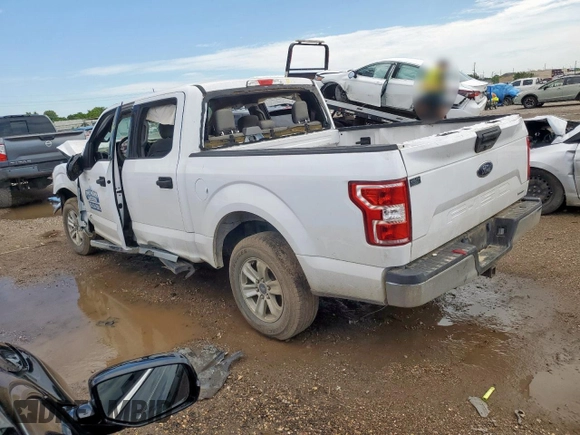 2020 Ford F-150 XL with VIN 1FTEW1CP2LKD73987, listed as a Copart auction lot 60224045 with Not provided miles and Clean title. Bid and sale history available at DreamBid. Image 2.