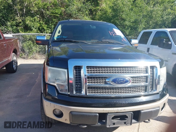 2009 Ford F-150 XL with VIN 1FTPW14V49KB37551, listed as a IAAI auction lot 42613336 with 248,950 mi miles and . Bid and sale history available at DreamBid. Image 12.