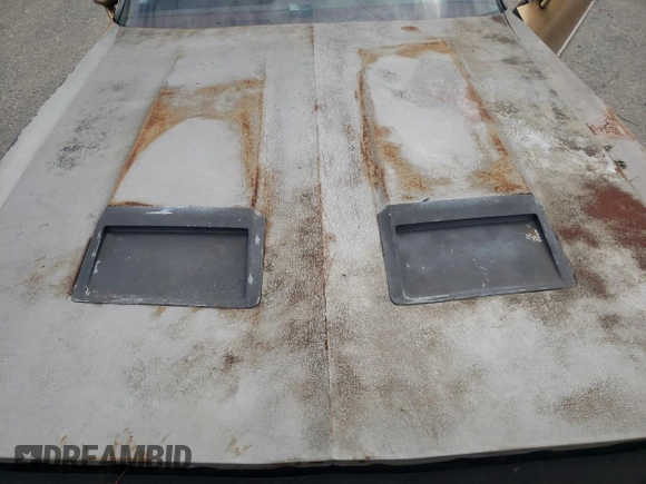 1979 Pontiac Firebird z VIN 2V8729L171075, wystawiony jako Copart lot #65532655 z przebiegiem 17 594 mil mil oraz Czysty tytuł • Clean title. Historia ofert i sprzedaży dostępna na DreamBid. Obrazek 11.