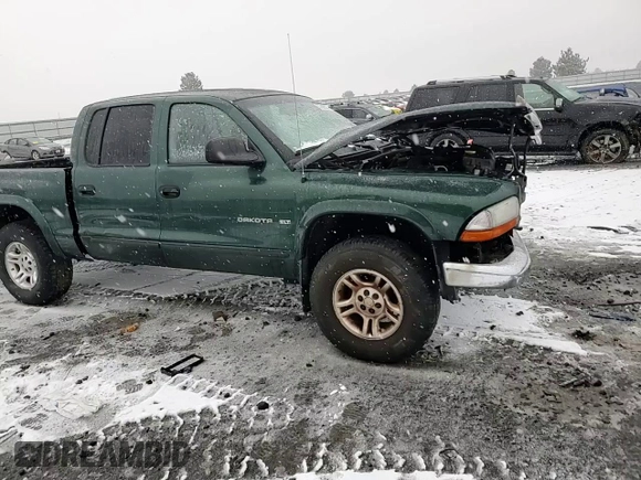 2002 Dodge Dakota SLT с VIN 1B7HG48N12S614309, выставлен на аукционе Copart как лот 87309554 с пробегом 287 994 миль миль и Списание • Salvage title. История ставок и продаж доступна на DreamBid. Изображение 10.