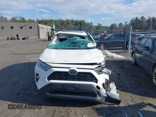 2019 Toyota RAV4 XLE with VIN JTMP1RFVXKD014440, listed as a IAAI auction lot 41877070 with 1 mi miles. Bid and sale history available at carsss.com. Image 12.