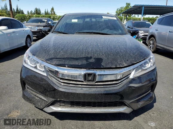 2016 Honda Accord Sport with VIN 1HGCR2F56GA247532, listed as a Copart auction lot 63806405 with 81,256 mi miles and Salvage title. Bid and sale history available at DreamBid. Image 5.