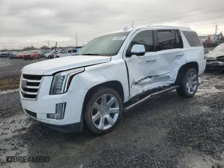 2018 Cadillac Escalade Premium Luxury with VIN 1GYS4CKJXJR243584, listed as a Copart auction lot 81556924 with 0 mi miles and Salvage Title. Bid and sale history available at carsss.com. Image 1.