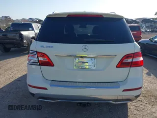 2013 Mercedes-Benz M 350 z VIN 4JGDA5JB1DA202398, wystawiony jako IAAI lot #42280447 z przebiegiem 161 166 mil mil oraz . Historia ofert i sprzedaży dostępna na DreamBid. Obrazek 16.