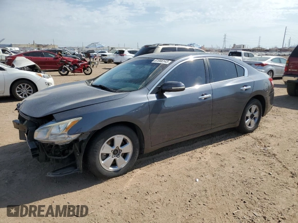 2009 Nissan Maxima SV with VIN 1N4AA51E19C819903, listed as a Copart auction lot 61956143 with 164,469 mi miles and Clean Title. Bid and sale history available at DreamBid. Image 1.