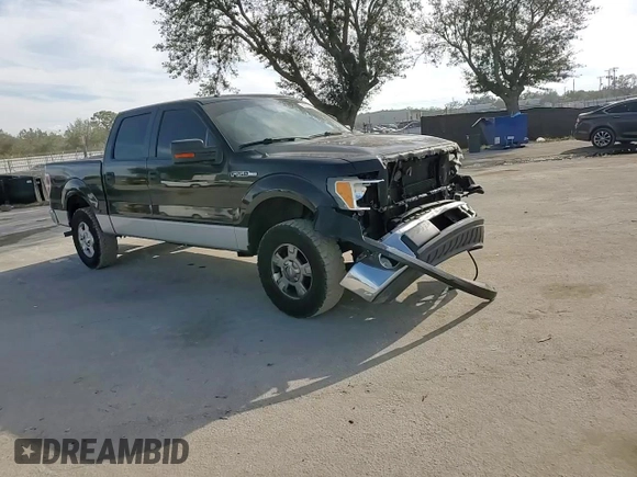 2010 Ford F-150 XL with VIN 1FTFW1CV6AFD01991, listed as a Copart auction lot 42699005 with 151,049 mi miles and Salvage Title. Bid and sale history available at DreamBid. Image 10.