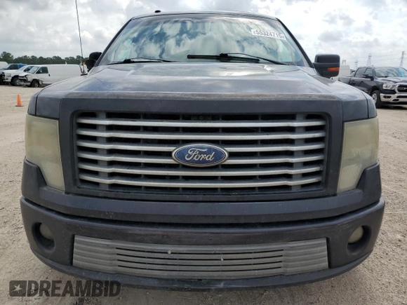 2010 Ford F-150 with VIN 1FTEW1CV2AFA87688, listed as a Copart auction lot 55324715 with 262,569 mi miles and Clean title. Bid and sale history available at DreamBid. Image 5.