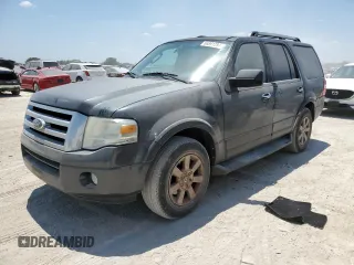 2009 Ford Expedition SSV with VIN 1FMFU15579LA14414, listed as a Copart auction lot 66891294 with 179,353 mi miles and Salvage title. Bid and sale history available at DreamBid. Image 1.