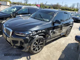 2022 BMW X3 xDrive30i with VIN 5UX53DP06N9M96658, listed as a Copart auction lot 48069574 with Not Provided miles and Salvage Title. Bid and sale history available at DreamBid. Image 1.