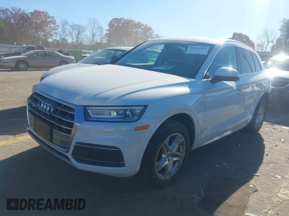 2019 Audi Q5 Premium with VIN WA1ANAFY8K2126536, listed as a IAAI auction lot 41018854 with 132,800 mi miles. Bid and sale history available at carsss.com. Image 17.