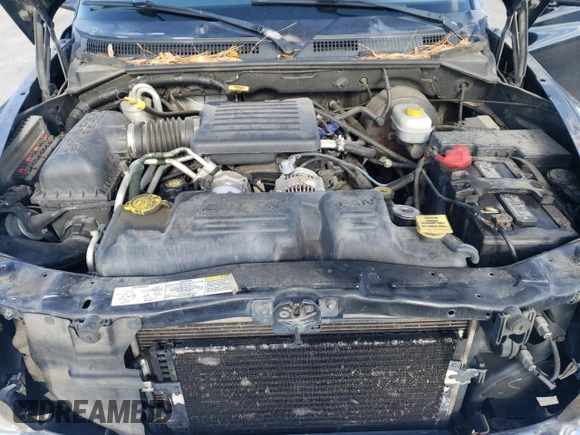 2003 Dodge Dakota SLT with VIN 1D7HL48N03S367805, listed as a Copart auction lot 82282594 with 297,571 mi miles and Salvage Title. Bid and sale history available at carsss.com. Image 11.