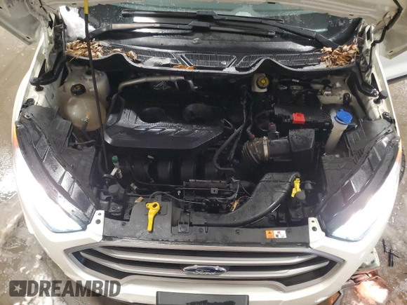 2019 Ford EcoSport SE with VIN MAJ6S3GL4KC289865, listed as a Copart auction lot 45503515 with 54,994 mi miles and Non Repairable. Bid and sale history available at carsss.com. Image 12.