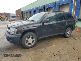 2008 Chevrolet TrailBlazer LT w/1LT with VIN 1GNDS13S482202734, listed as a Copart auction lot 81350444 with 175,903 mi miles and Salvage Title. Bid and sale history available at carsss.com. Image 1.