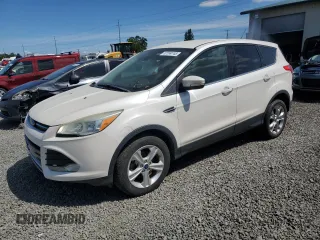 2013 Ford Escape SEL with VIN 1FMCU0HX2DUC25419, listed as a Copart auction lot 62599745 with 116,751 mi miles and Clean title. Bid and sale history available at DreamBid. Image 1.