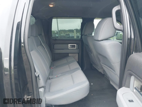 2011 Ford F-150 XLT with VIN 1FTFW1ETXBFB94649, listed as a IAAI auction lot 42509507 with 185,997 mi miles and . Bid and sale history available at DreamBid. Image 8.