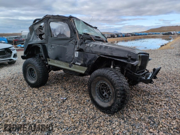 2002 Jeep Wrangler X with VIN 1J4FA39S42P747330, listed as a Copart auction lot 45536485 with 157,289 mi miles and Salvage Title. Bid and sale history available at carsss.com. Image 4.