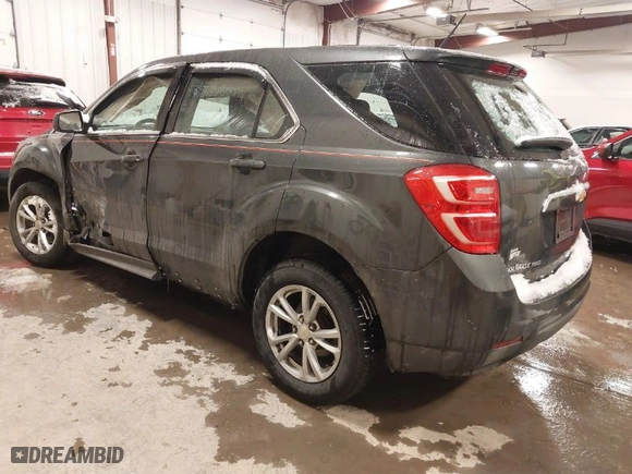 2017 Chevrolet Equinox LS with VIN 2GNFLEEK0H6146465, listed as a IAAI auction lot 41608780 with 124,643 mi miles. Bid and sale history available at carsss.com. Image 3.