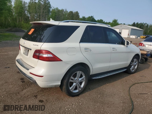 2013 Mercedes-Benz M 350 with VIN 4JGDA2EB7DA121124, listed as a Copart auction lot 59145665 with Not provided miles and Clean title. Bid and sale history available at DreamBid. Image 3.