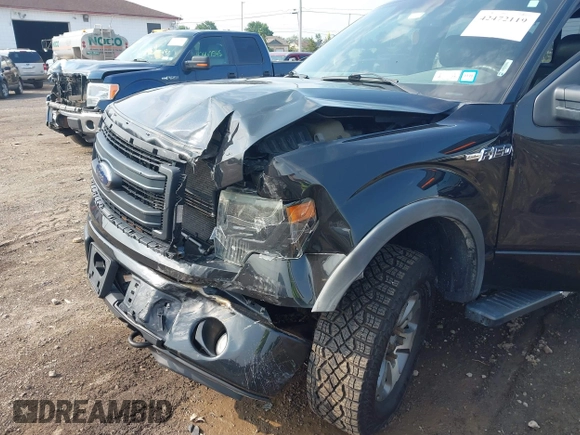 2013 Ford F-150 XL with VIN 1FTFX1EF5DFB74027, listed as a IAAI auction lot 42472119 with 113,681 mi miles and . Bid and sale history available at DreamBid. Image 6.