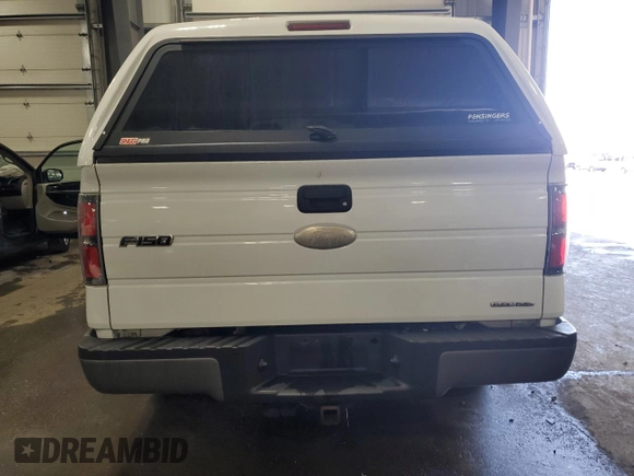 2012 Ford F-150 XL with VIN 1FTMF1CF6CFA60355, listed as a Copart auction lot 49317645 with 248,008 mi miles and Salvage Title. Bid and sale history available at carsss.com. Image 6.