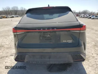 2023 Lexus RX with VIN 2T2BAMCA6PC016958, listed as a Copart auction lot 48016205 with 30,044 mi miles and Salvage Title. Bid and sale history available at carsss.com. Image 6.