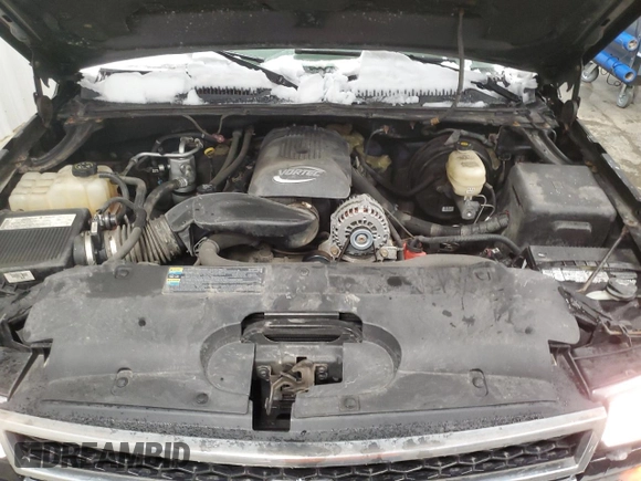 2006 Chevrolet Silverado 1500 with VIN 1GCEK19B16Z192673, listed as a Copart auction lot 49893965 with 163,442 mi miles and Salvage Title. Bid and sale history available at DreamBid. Image 11.