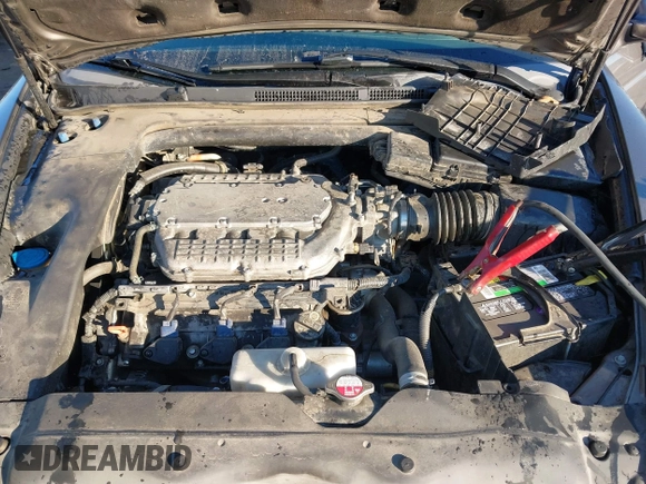 2008 Acura TL with VIN 19UUA66238A009941, listed as a IAAI auction lot 41332206 with 1 mi miles. Bid and sale history available at carsss.com. Image 10.