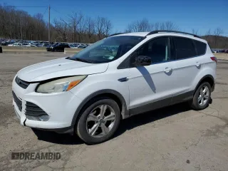 2014 Ford Escape SE with VIN 1FMCU0GX4EUB83323, listed as a Copart auction lot 51775125 with 129,437 mi miles and Salvage Title. Bid and sale history available at DreamBid. Image 1.