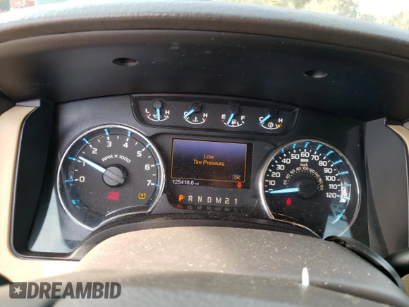 2012 Ford F-150 XL with VIN 1FTFW1EFXCFC46888, listed as a Copart auction lot 49045565 with 125,418 mi miles and Clean Title. Bid and sale history available at carsss.com. Image 9.