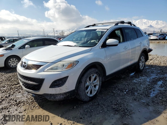 2012 Mazda CX-9 Touring with VIN JM3TB3CA6C0367655, listed as a Copart auction lot 46128995 with 0 mi miles and Salvage Title. Bid and sale history available at carsss.com. Image 1.