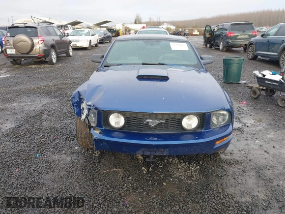 2009 Ford Mustang GT with VIN 1ZVHT82H095105825, listed as a IAAI auction lot 41299663 with 190,109 mi miles and . Bid and sale history available at DreamBid. Image 13.