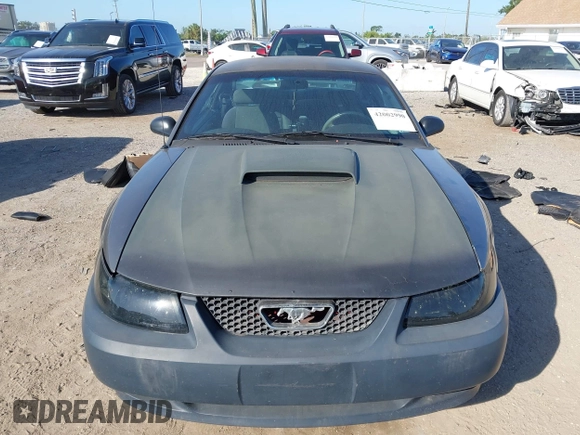 2001 Ford Mustang Standard with VIN 1FAFP40461F264327, listed as a IAAI auction lot 42002990 with 316,107 mi miles. Bid and sale history available at carsss.com. Image 11.