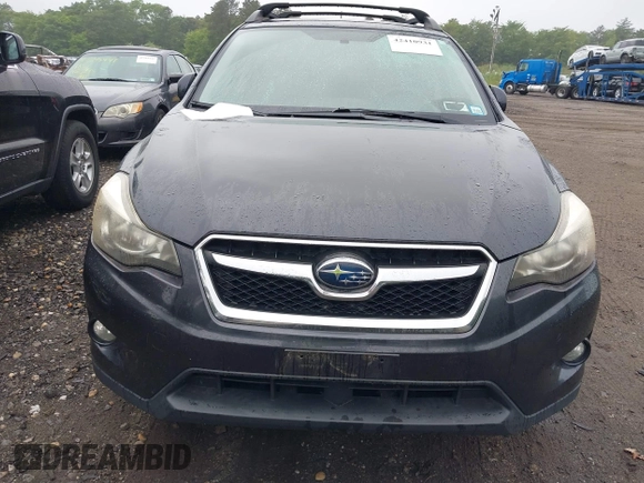 2014 Subaru Crosstrek Limited с VIN JF2GPAKC3E8201215, выставлен на аукционе IAAI как лот 42410931 с пробегом 173 990 миль миль и . История ставок и продаж доступна на DreamBid. Изображение 12.
