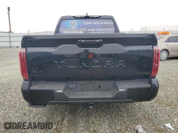 2023 Toyota Tundra Platinum with VIN 5TFNA5DB2PX085582, listed as a Copart auction lot 89322415 with 40,709 mi miles and Salvage title. Bid and sale history available at DreamBid. Image 6.