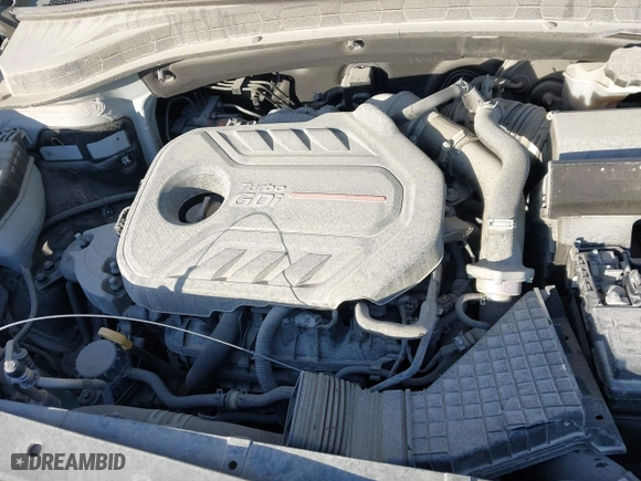 2019 Hyundai Santa Fe Limited with VIN 5NMS53AA4KH132538, listed as a IAAI auction lot 40698953 with 98,472 mi miles. Bid and sale history available at carsss.com. Image 10.